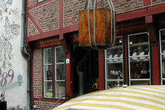 DSCN0670
