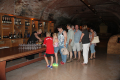 20130801-201017-Canon_EOS_500D-Singkreis_Verona_Anreise