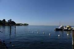 20130802-100557-DMC-TZ36-Singkreis_Italien