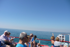 20130802-105111-DMC-TZ5-Singkreis_Italien