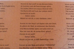 20130802-142111-DMC-TZ4-Singkreis_Italien