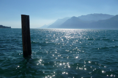 20130802-162643-DMC-TZ4-Singkreis_Italien