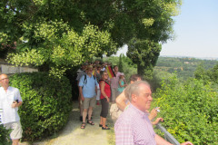 20130803-153948-Canon_PowerShot_SX220_HS-Singkreis_Italien