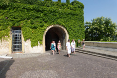 20130803-154013-DMC-TZ36-Singkreis_Italien