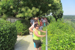 20130803-154135-Canon_PowerShot_SX220_HS-Singkreis_Italien