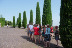 20130803-155104-DMC-TZ4-Singkreis_Italien