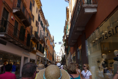 20130803-170039-DMC-TZ5-Singkreis_Italien