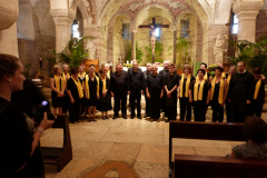 20130803-190114-DMC-TZ36-Singkreis_Italien