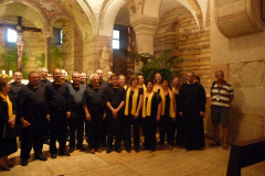 20130803-190358-DMC-TZ4-Singkreis_Italien