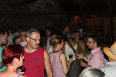 20130804-154506-Canon_EOS_500D-Singkreis_Verona_Weinprobe