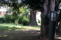 20150807_113948
