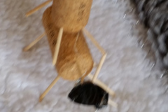 20150814_104821