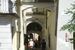 IMGP0116