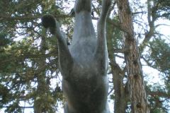 IMGP0144