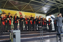 DSC09204